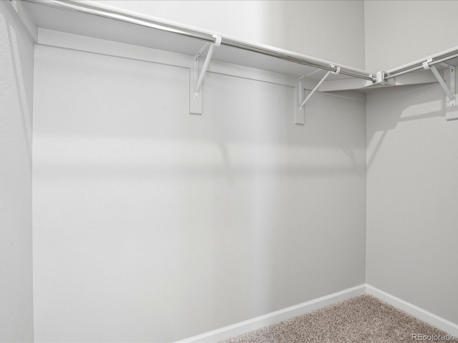 MLS Image #22 for 463  millwall circle ,castle pines, Colorado