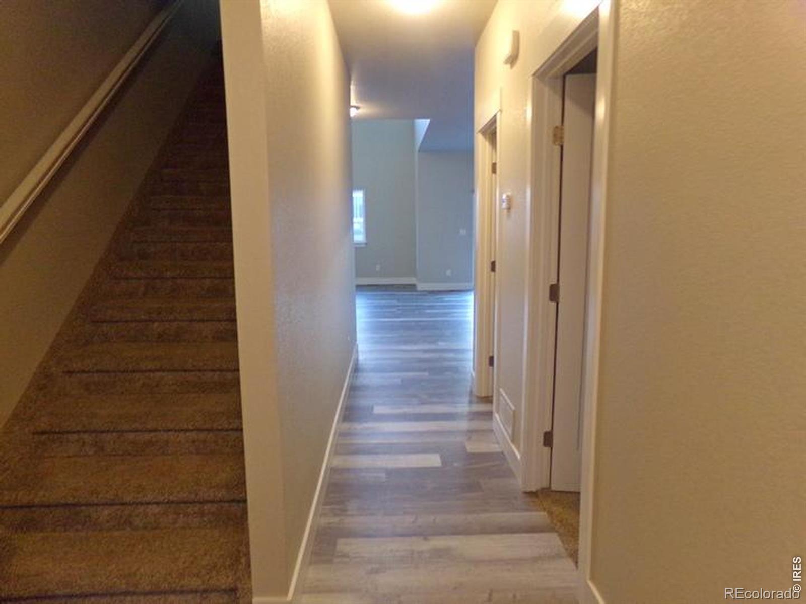 MLS Image #3 for 1754  avery plaza street,severance, Colorado