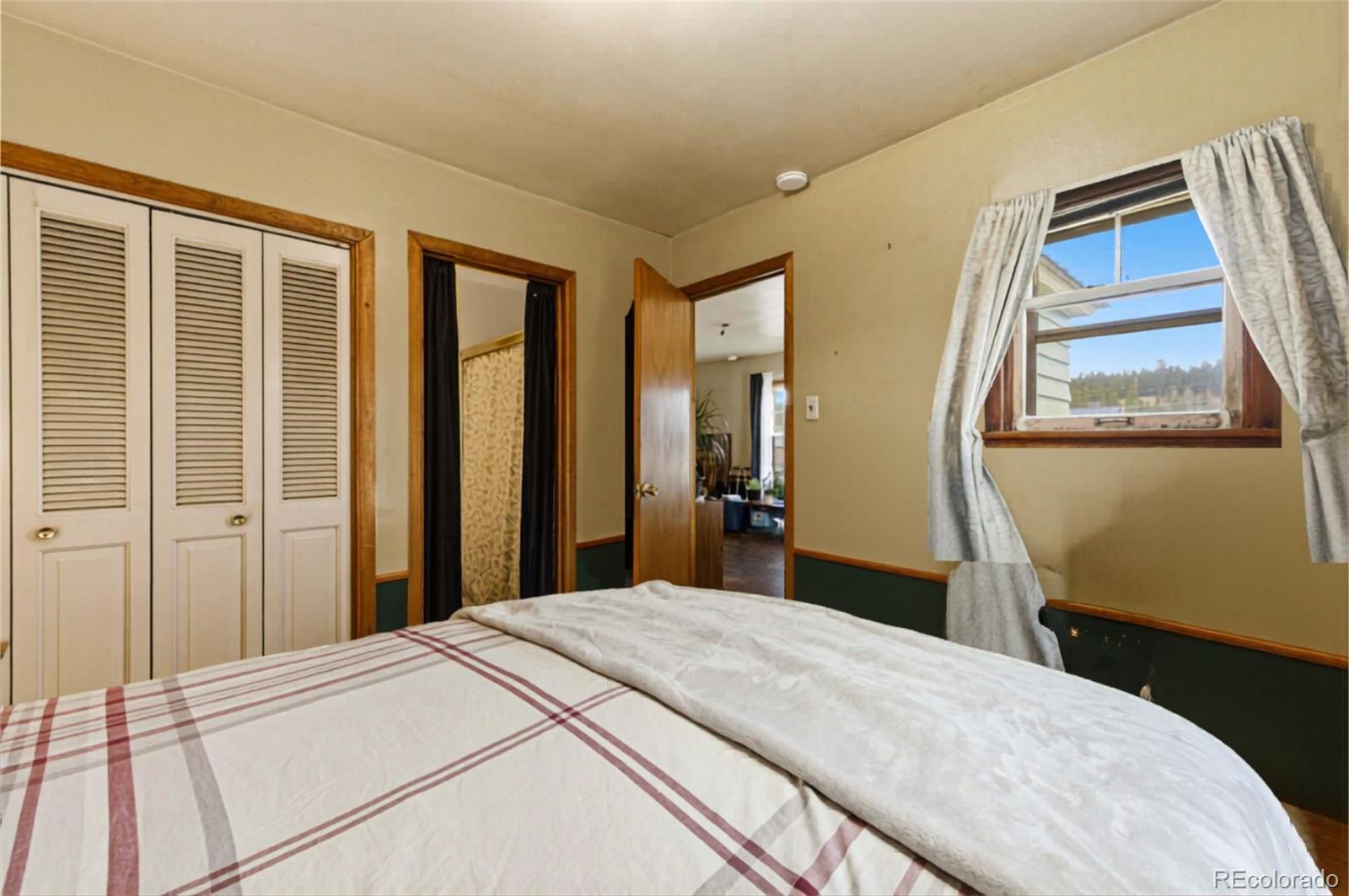 MLS Image #8 for 124  mount traver drive,leadville, Colorado