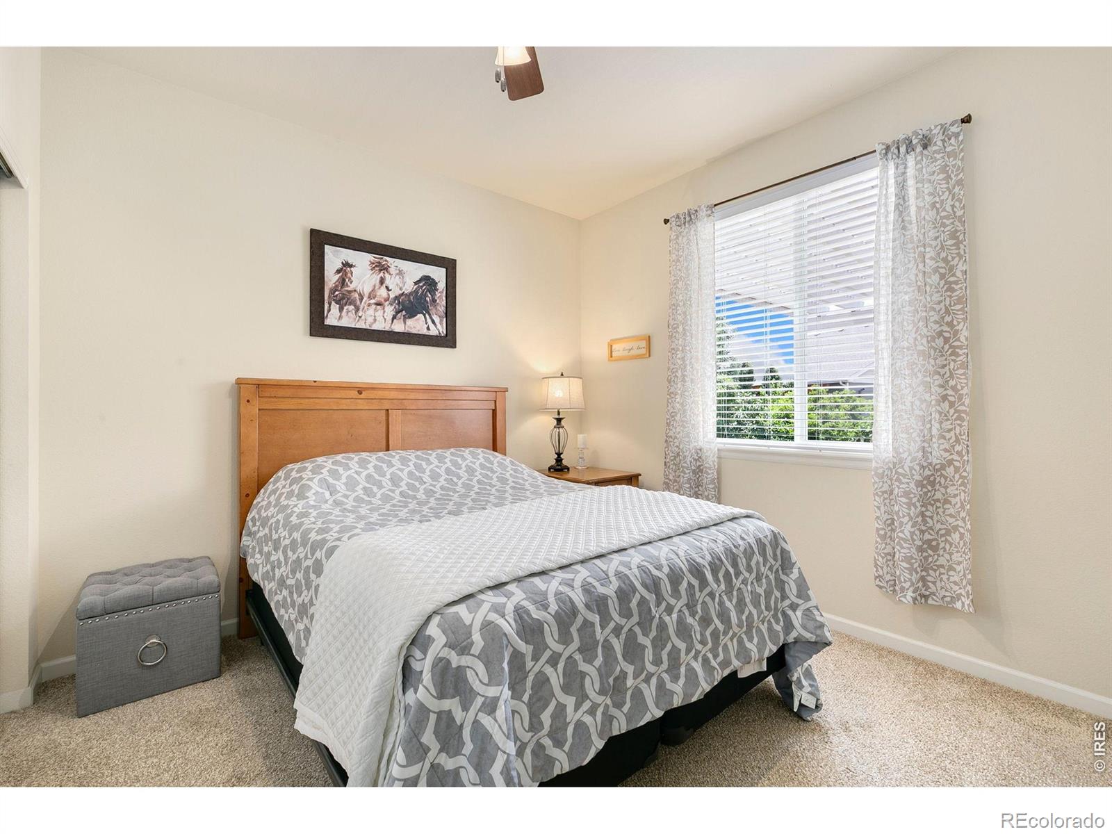 MLS Image #9 for 5355  brookline drive,timnath, Colorado