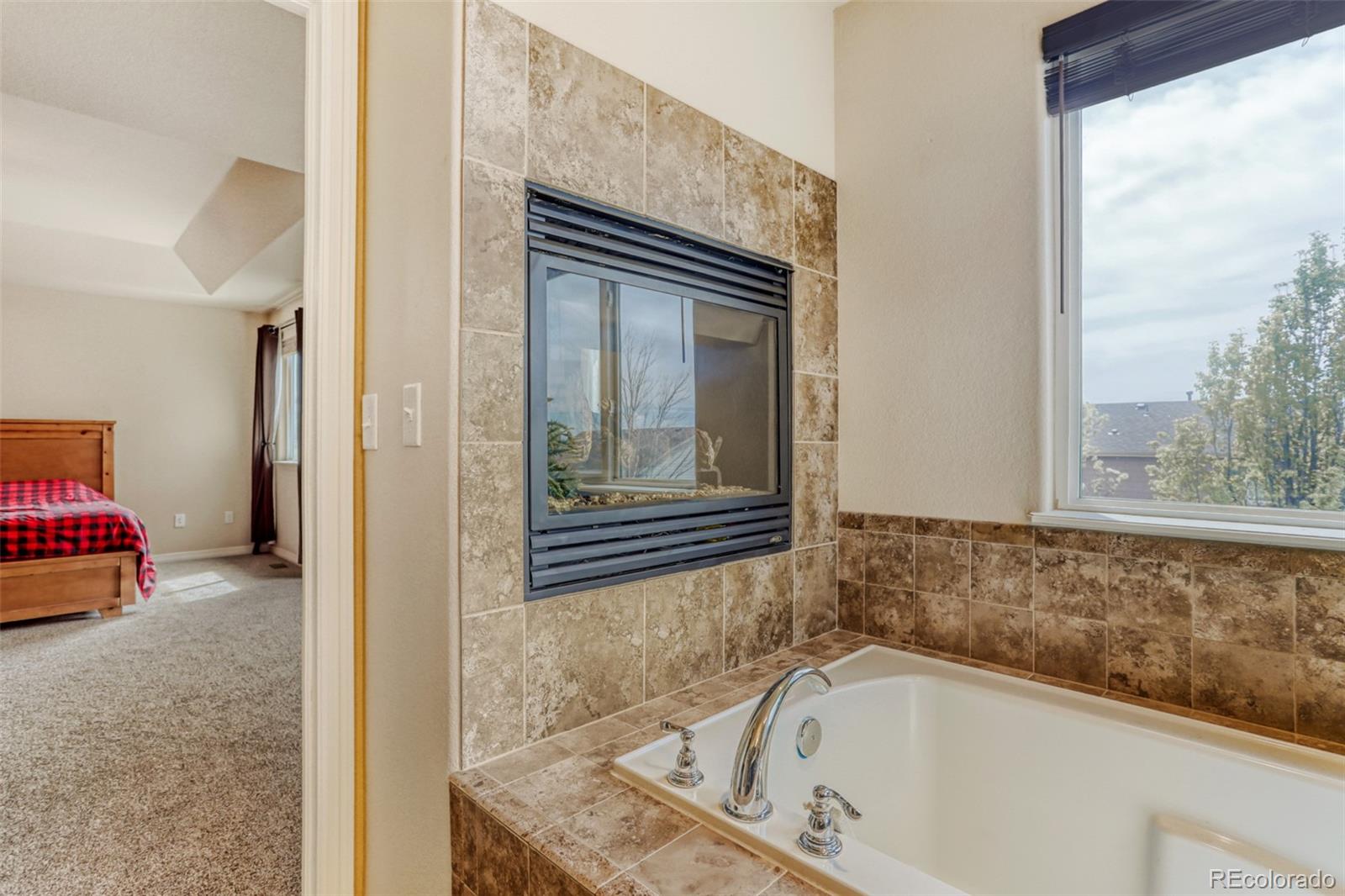 MLS Image #20 for 2760  bridle drive,mead, Colorado