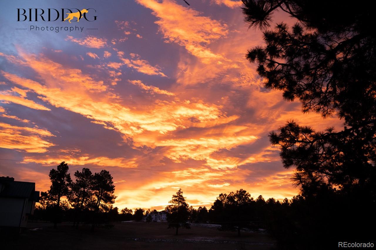 MLS Image #46 for 7905  ponderosa lane,parker, Colorado