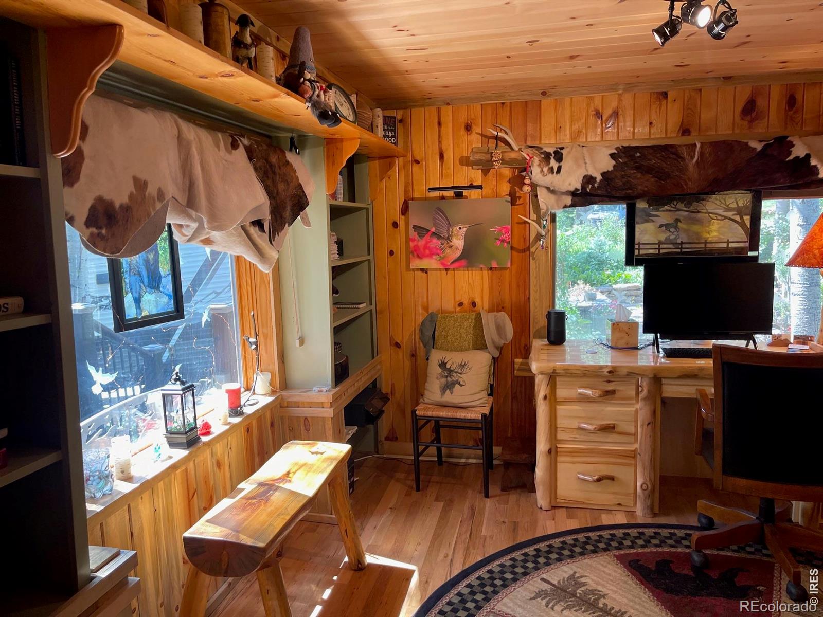MLS Image #11 for 124  ski road,allenspark, Colorado