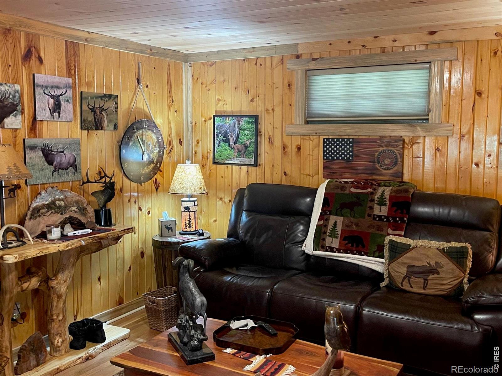 MLS Image #12 for 124  ski road,allenspark, Colorado