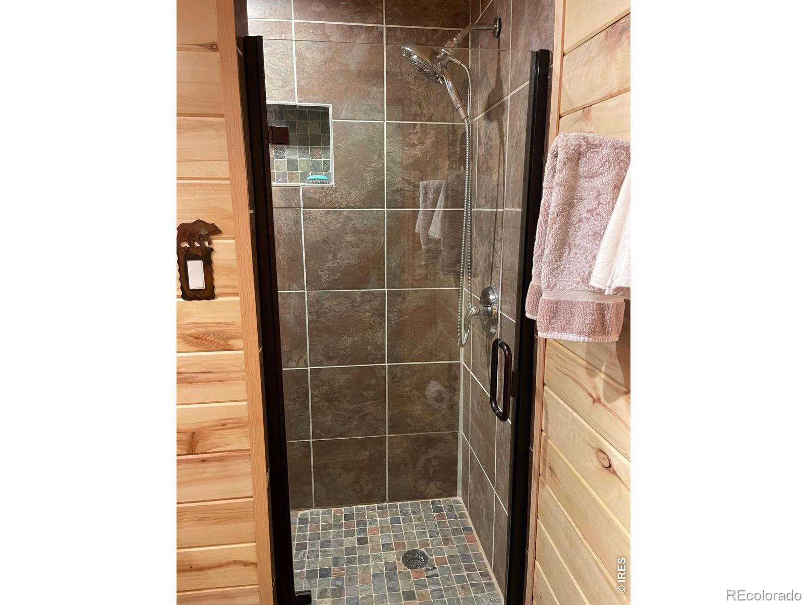 MLS Image #13 for 124  ski road,allenspark, Colorado