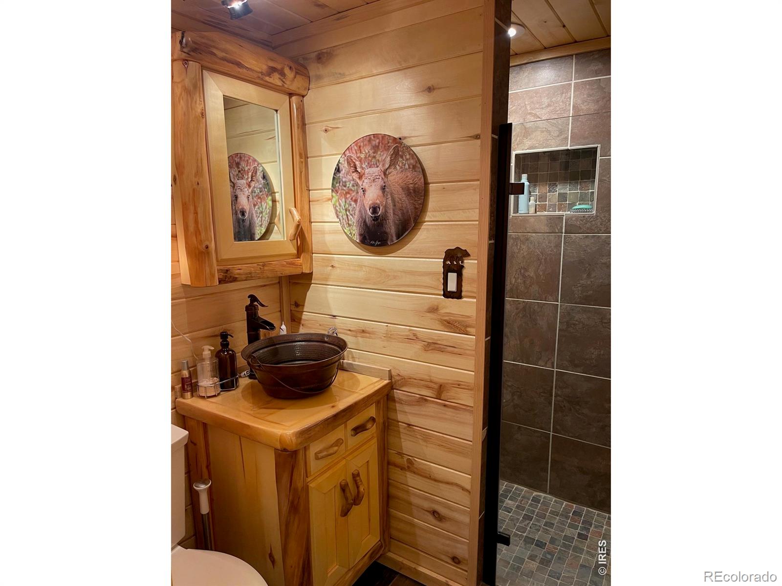 MLS Image #14 for 124  ski road,allenspark, Colorado