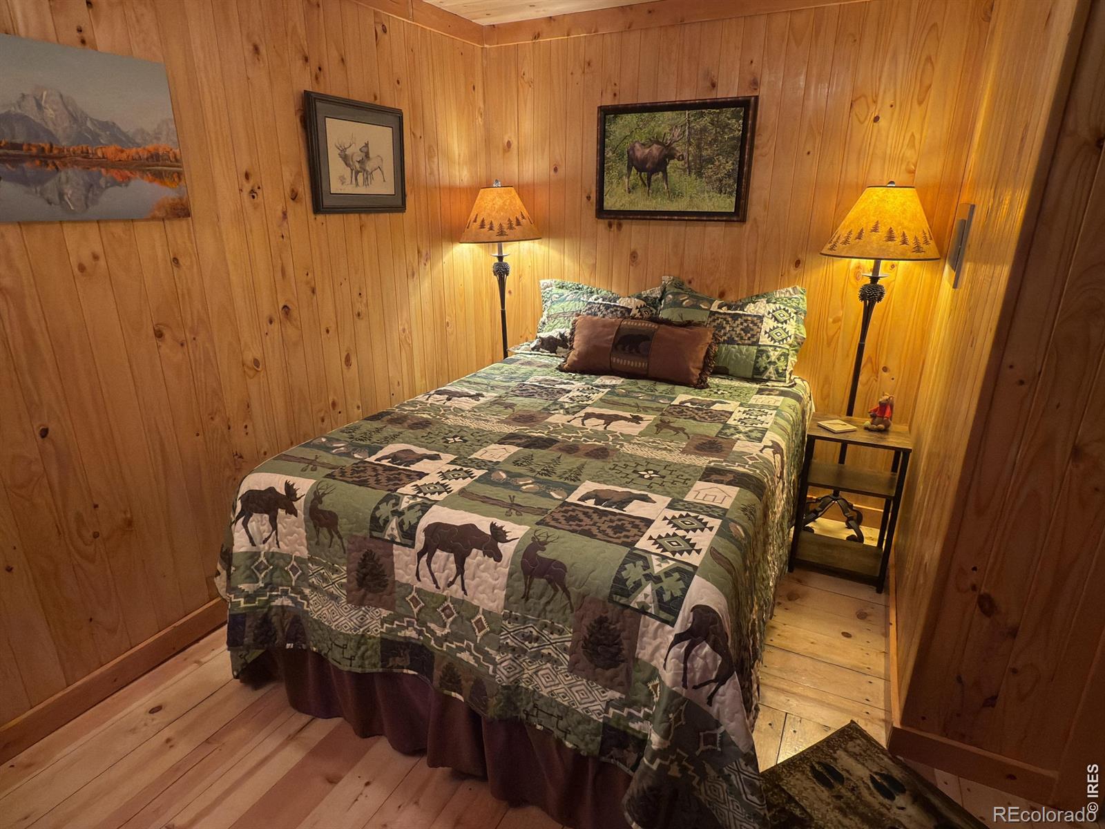 MLS Image #19 for 124  ski road,allenspark, Colorado