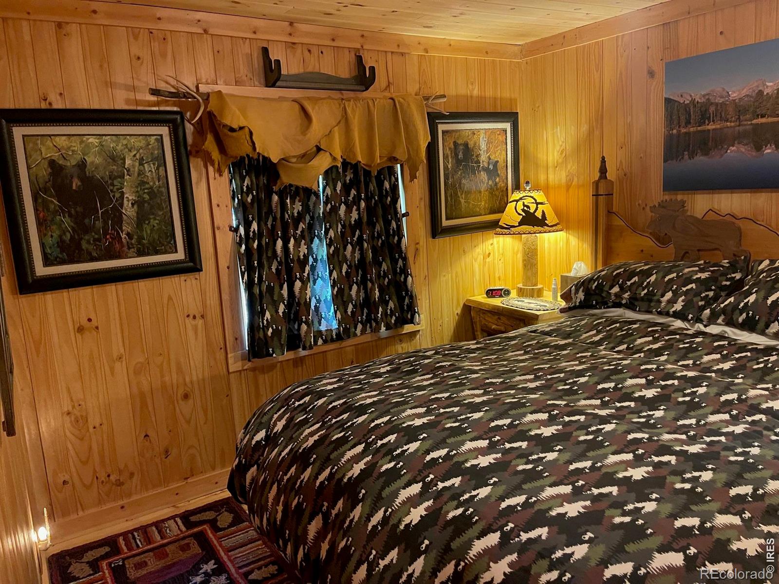 MLS Image #20 for 124  ski road,allenspark, Colorado