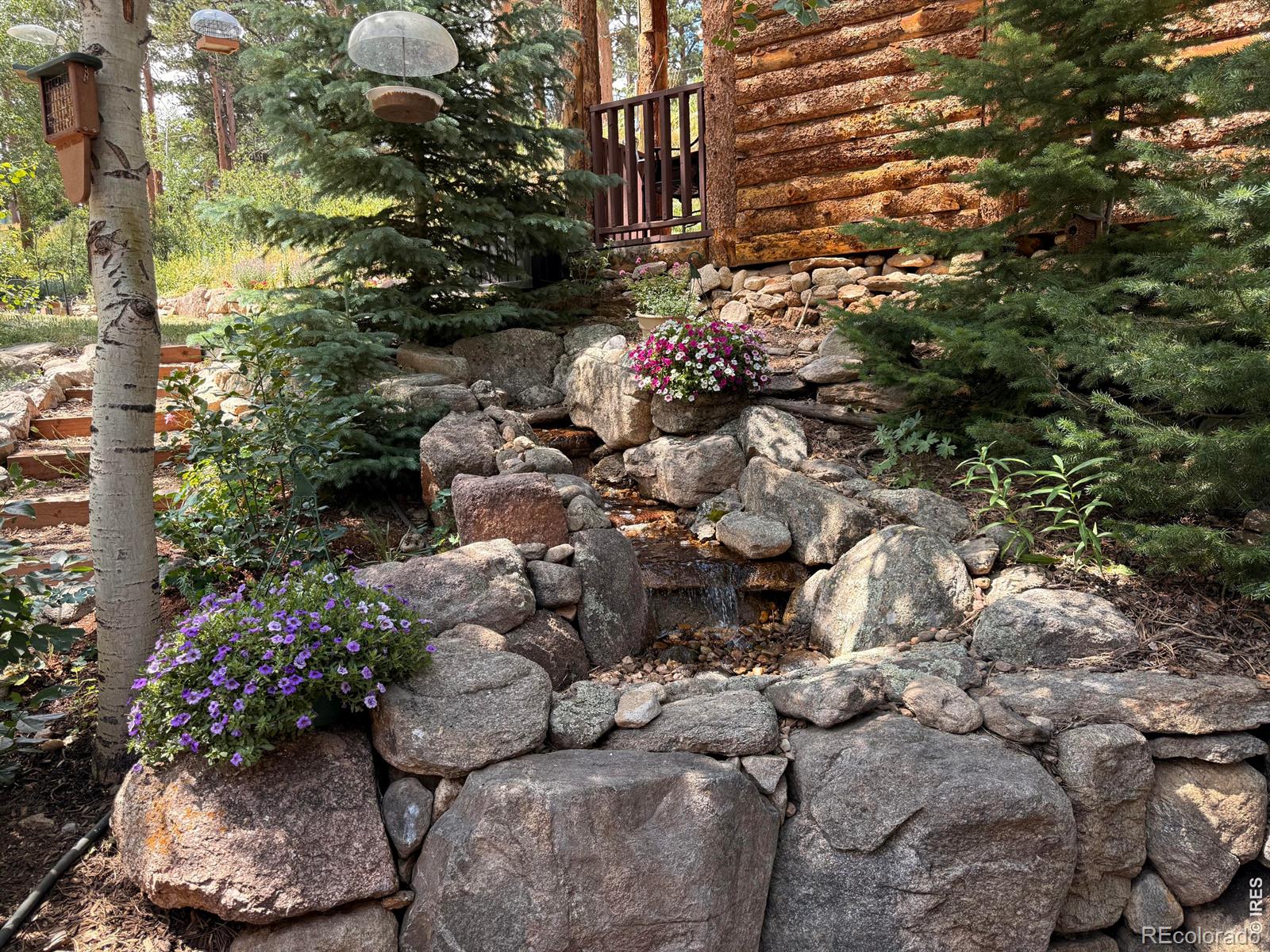 MLS Image #23 for 124  ski road,allenspark, Colorado