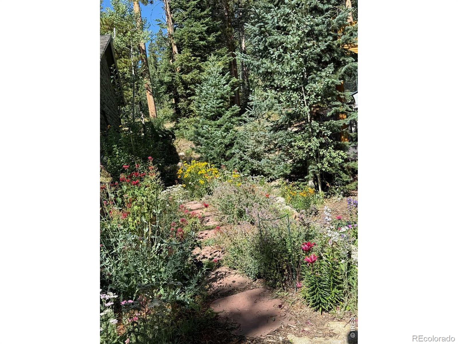 MLS Image #25 for 124  ski road,allenspark, Colorado