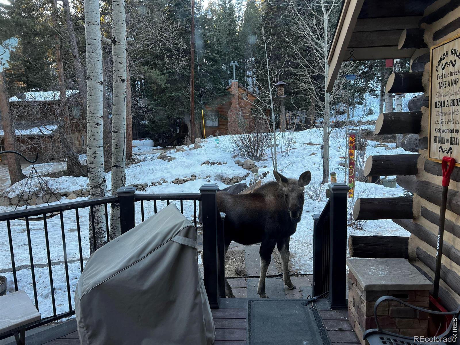 MLS Image #27 for 124  ski road,allenspark, Colorado