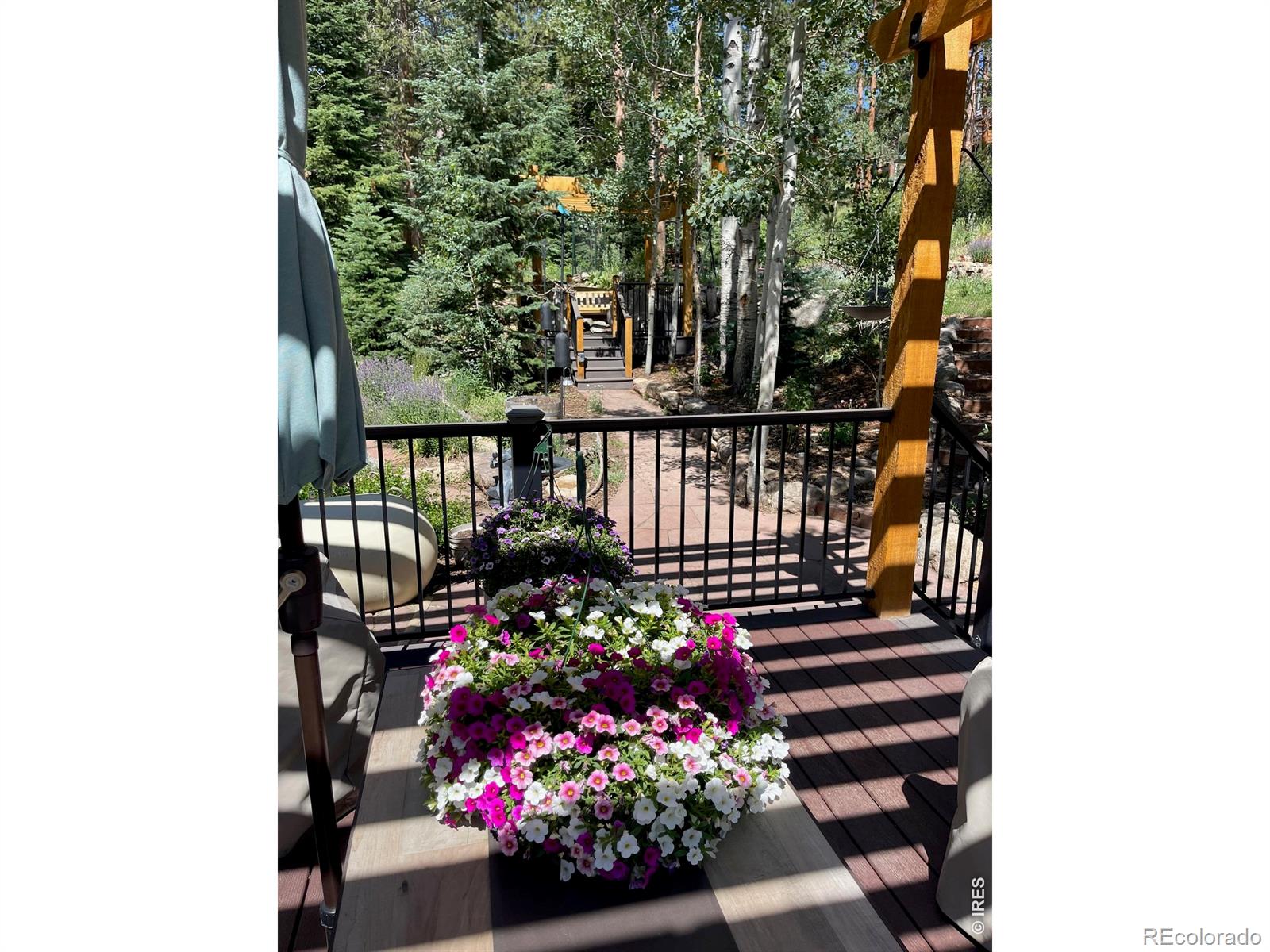MLS Image #5 for 124  ski road,allenspark, Colorado