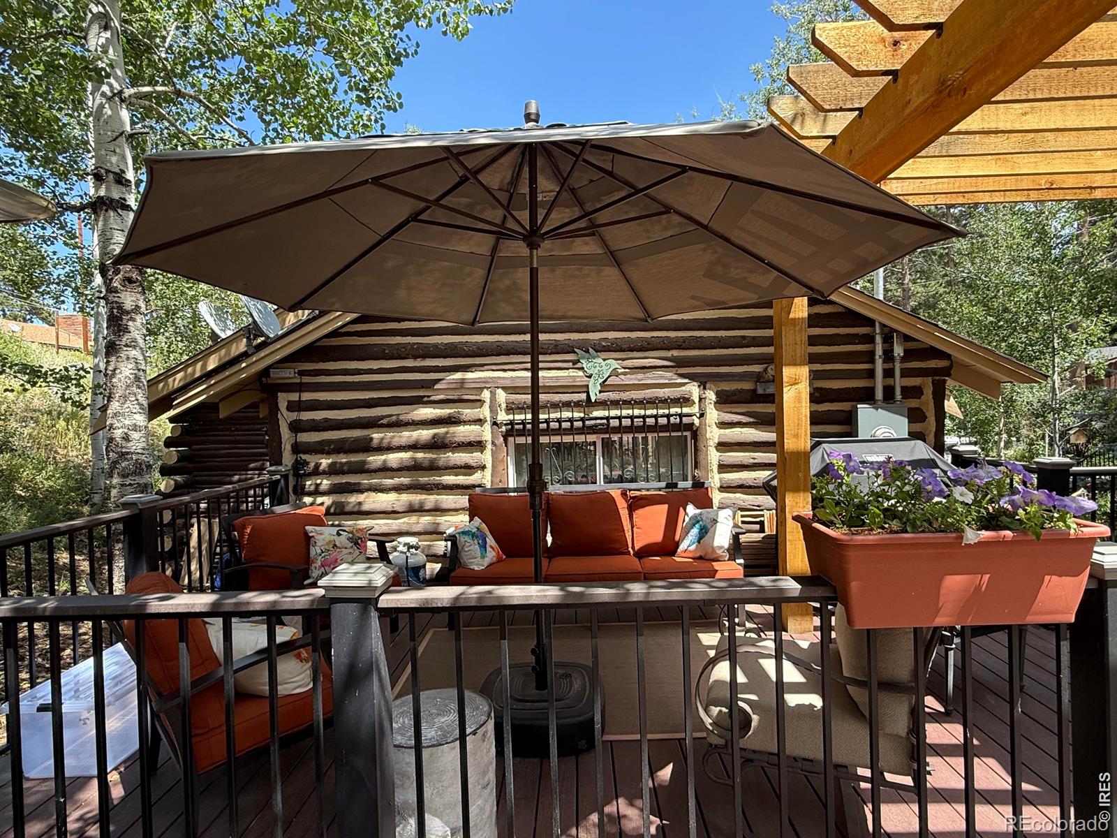 MLS Image #8 for 124  ski road,allenspark, Colorado