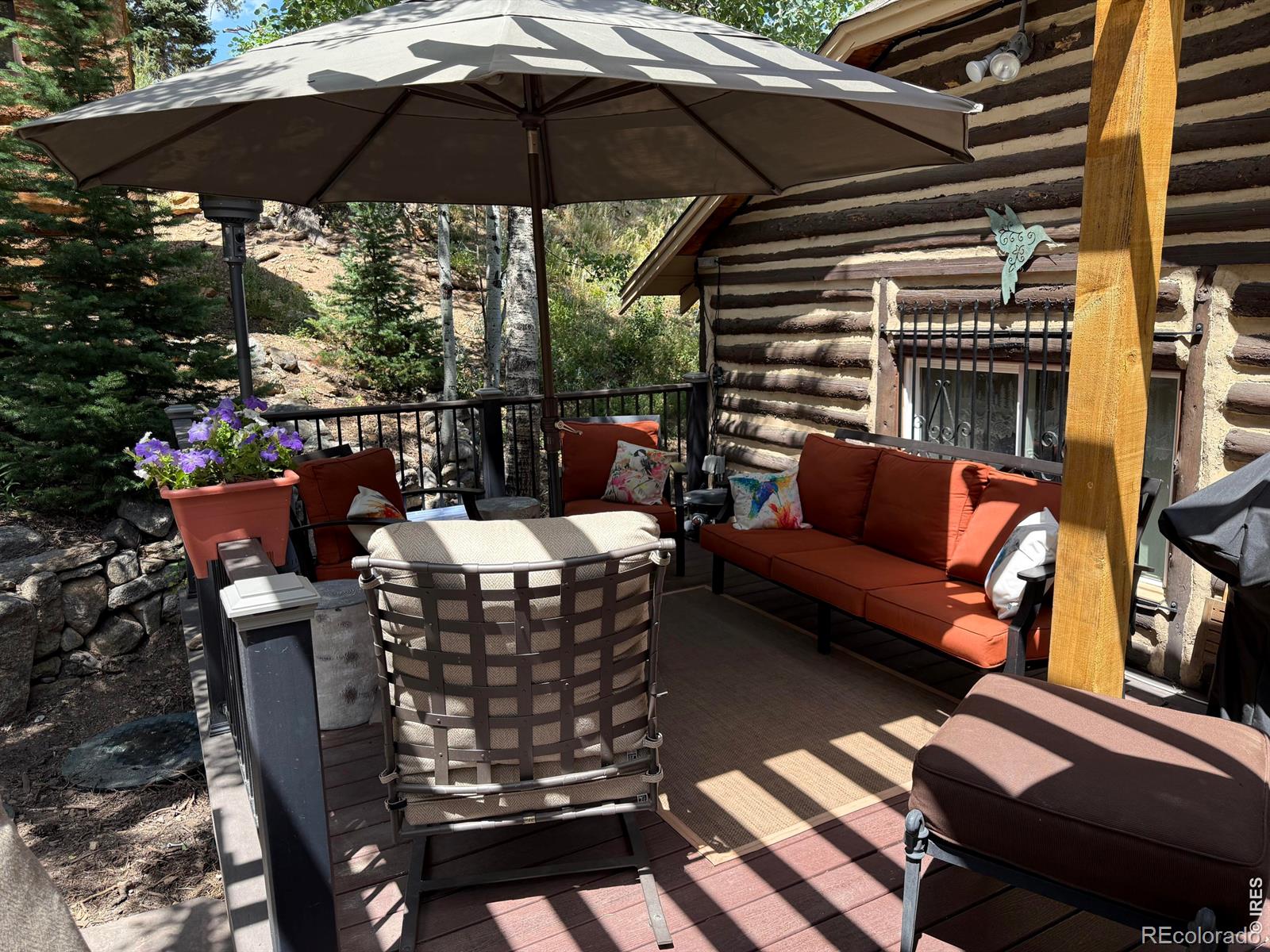 MLS Image #9 for 124  ski road,allenspark, Colorado