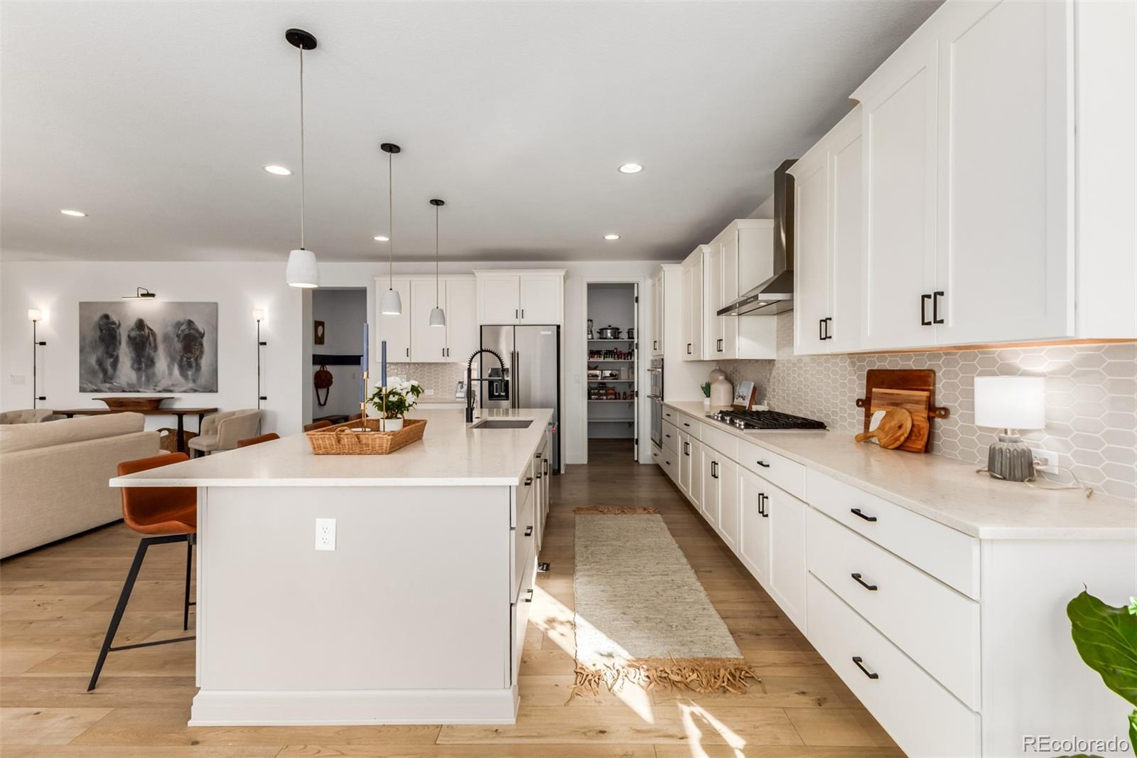 MLS Image #11 for 11101  bright sky street,littleton, Colorado