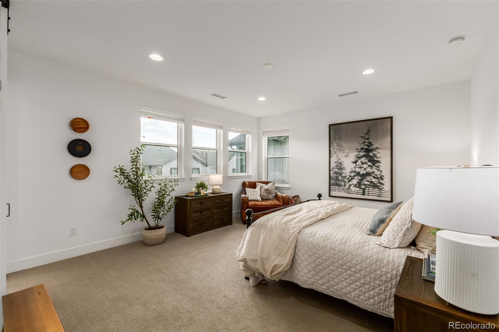MLS Image #14 for 11101  bright sky street,littleton, Colorado