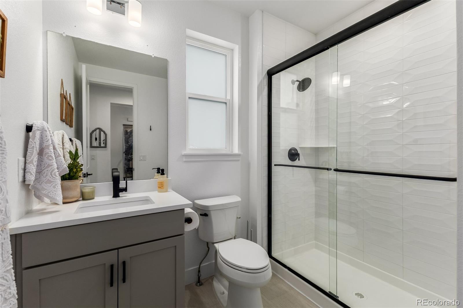 MLS Image #20 for 11101  bright sky street,littleton, Colorado
