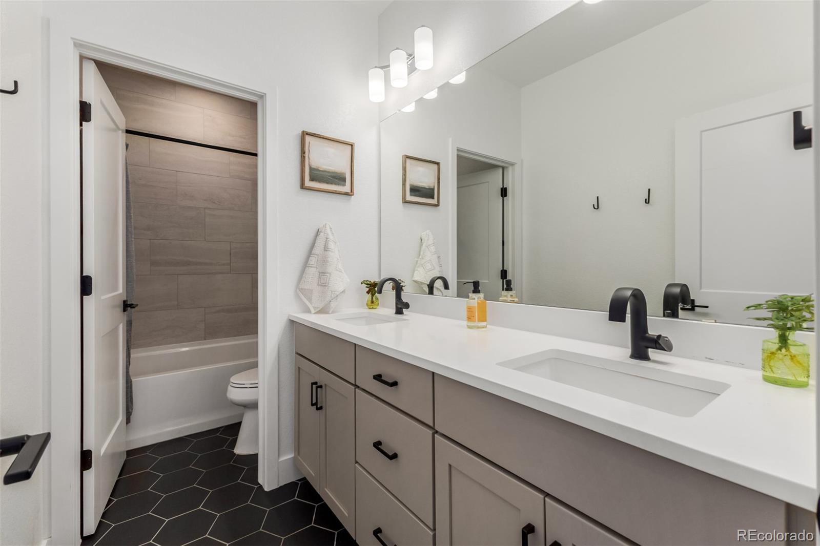 MLS Image #23 for 11101  bright sky street,littleton, Colorado