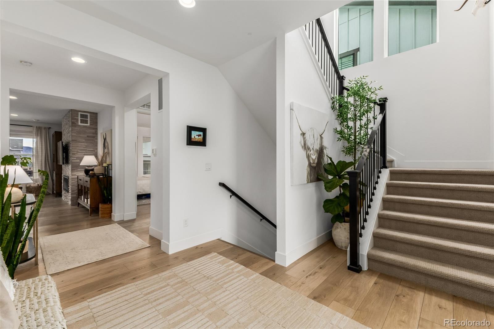 MLS Image #4 for 11101  bright sky street,littleton, Colorado