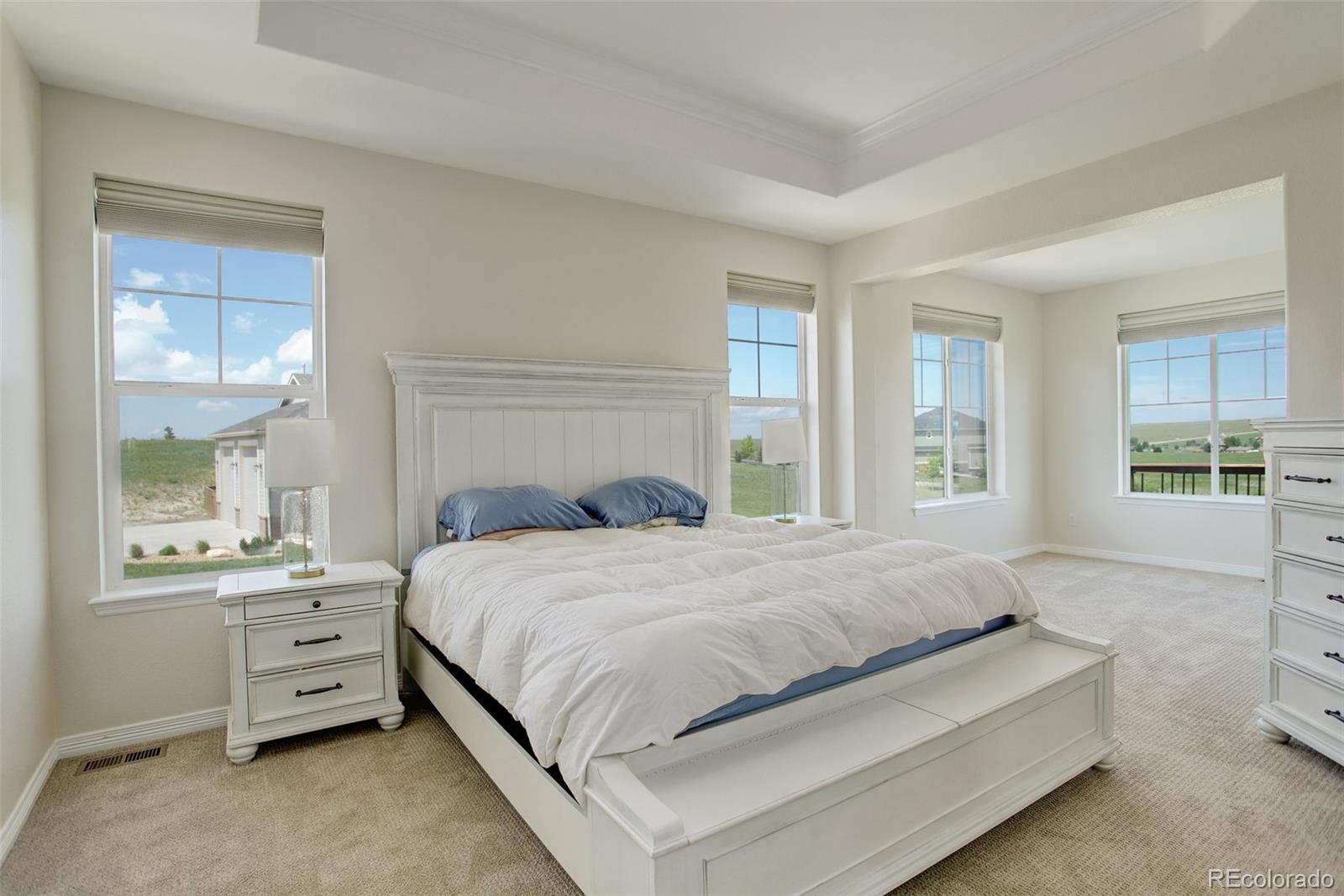 MLS Image #18 for 2504  elkhorn ranch street,parker, Colorado