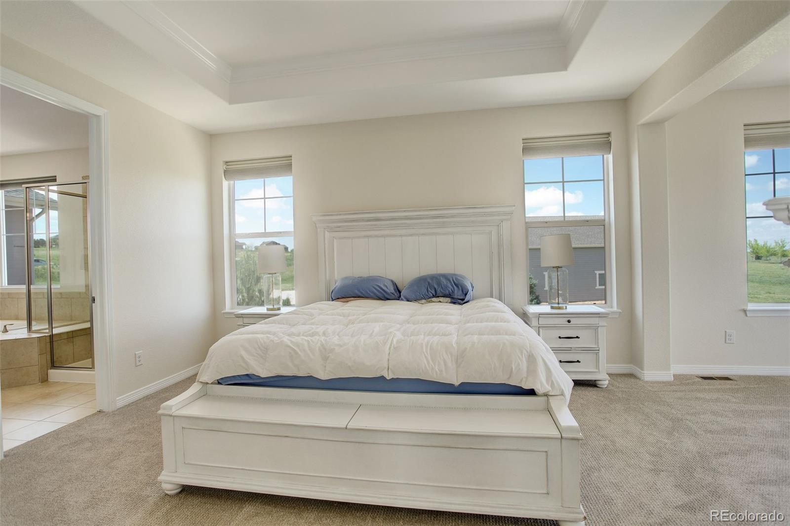 MLS Image #19 for 2504  elkhorn ranch street,parker, Colorado