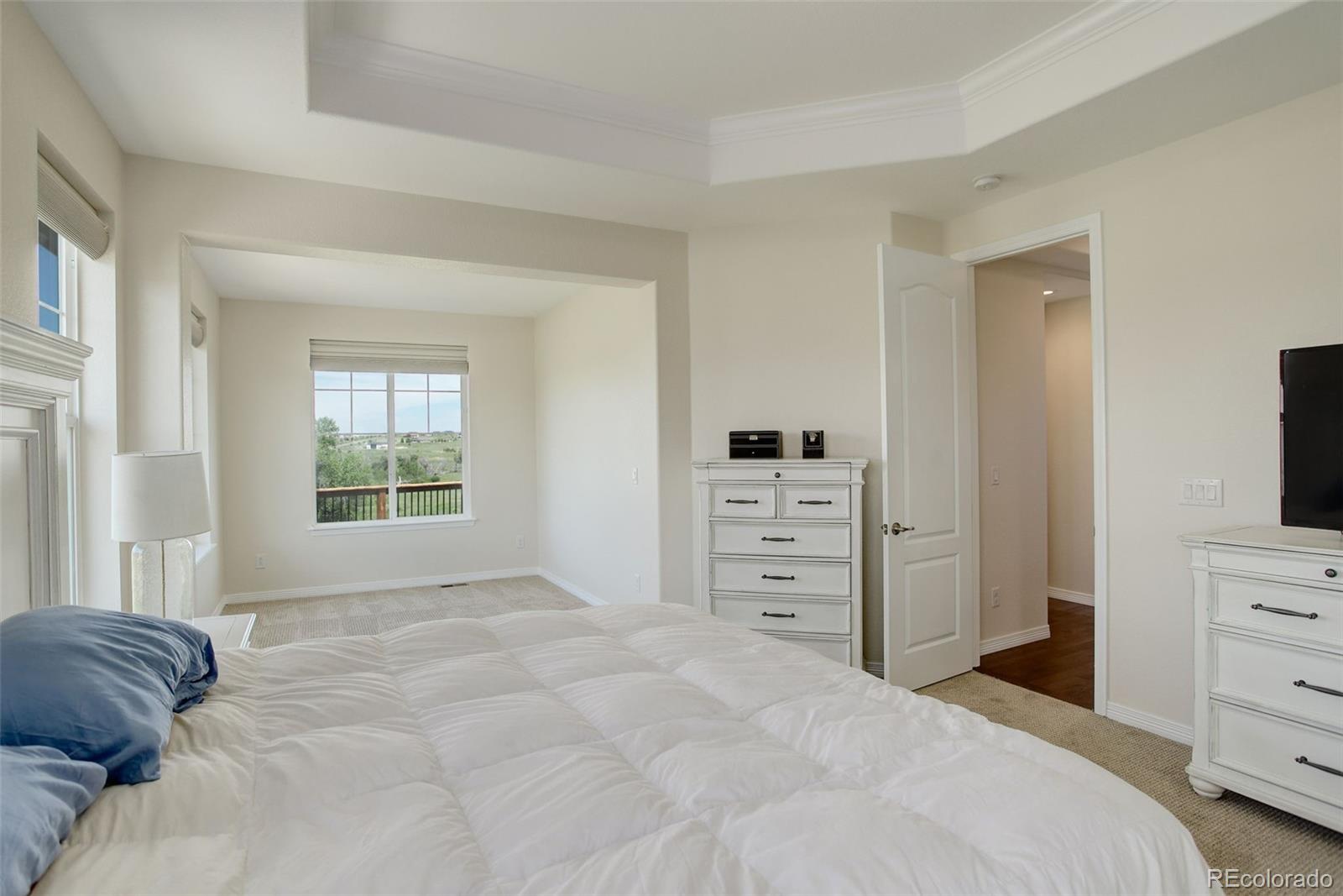 MLS Image #20 for 2504  elkhorn ranch street,parker, Colorado