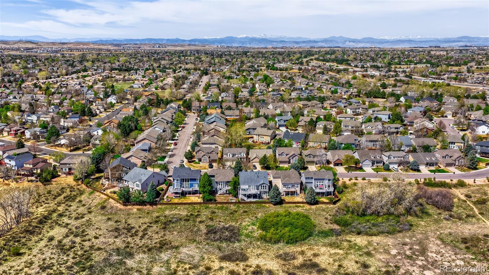 MLS Image #46 for 10270  amethyst way,parker, Colorado