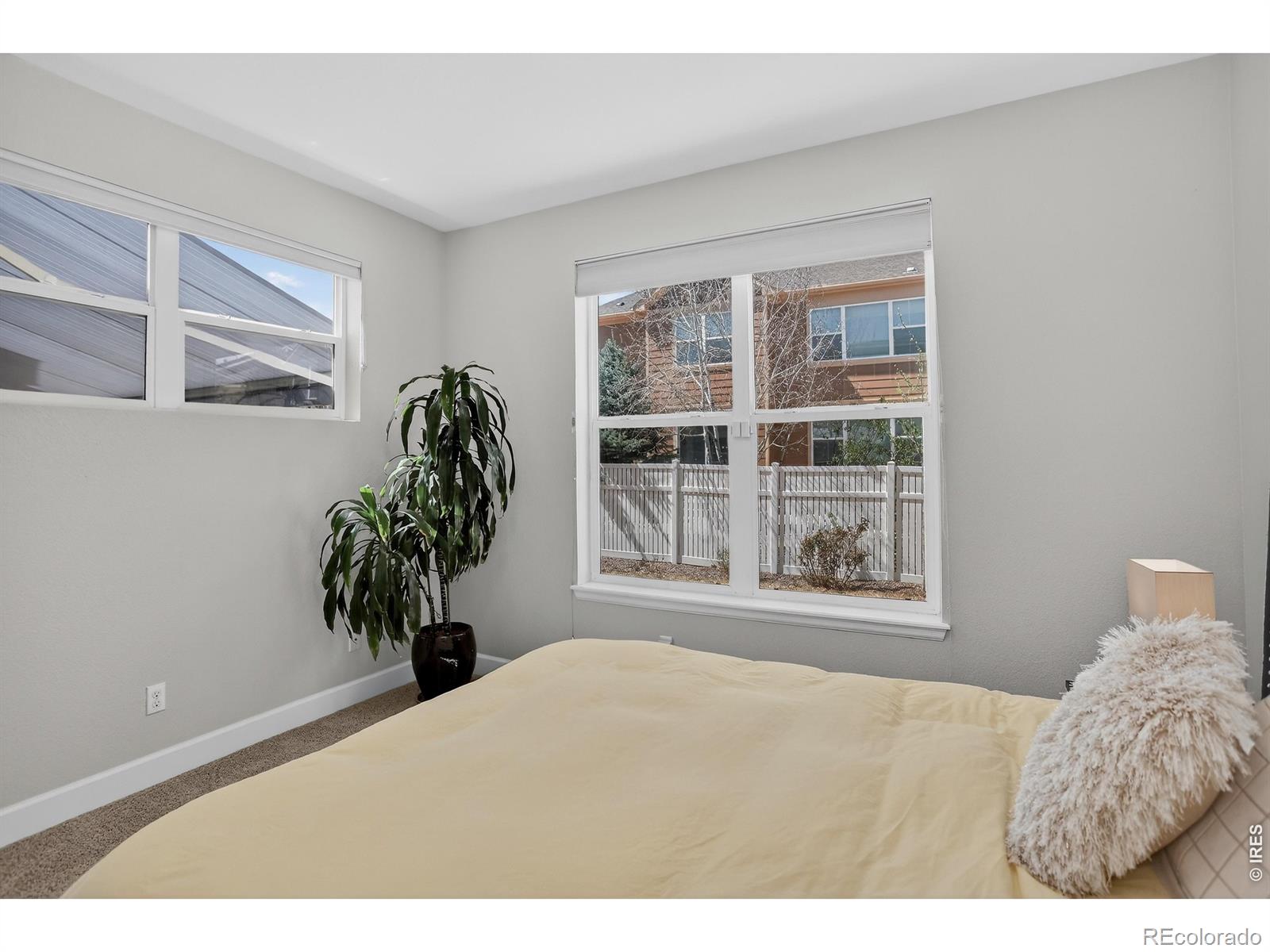 MLS Image #36 for 1652  dorothy circle,longmont, Colorado