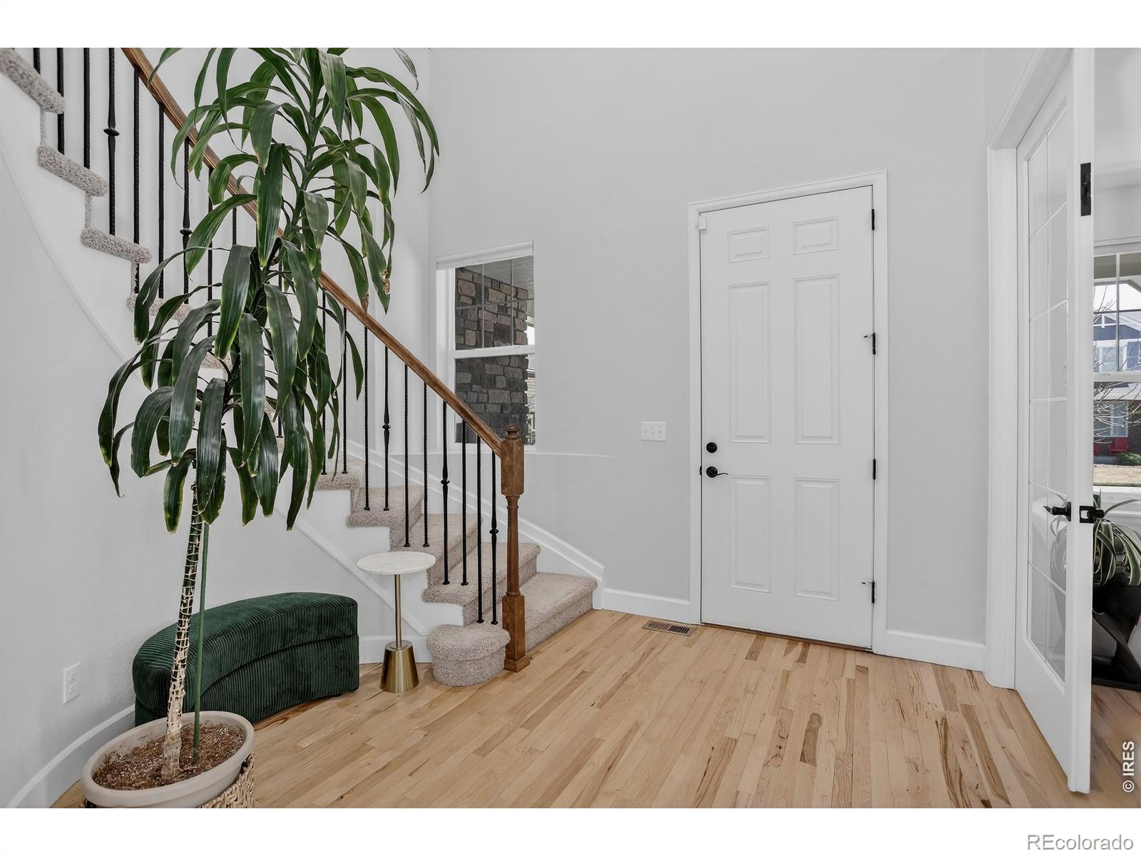 MLS Image #5 for 1652  dorothy circle,longmont, Colorado