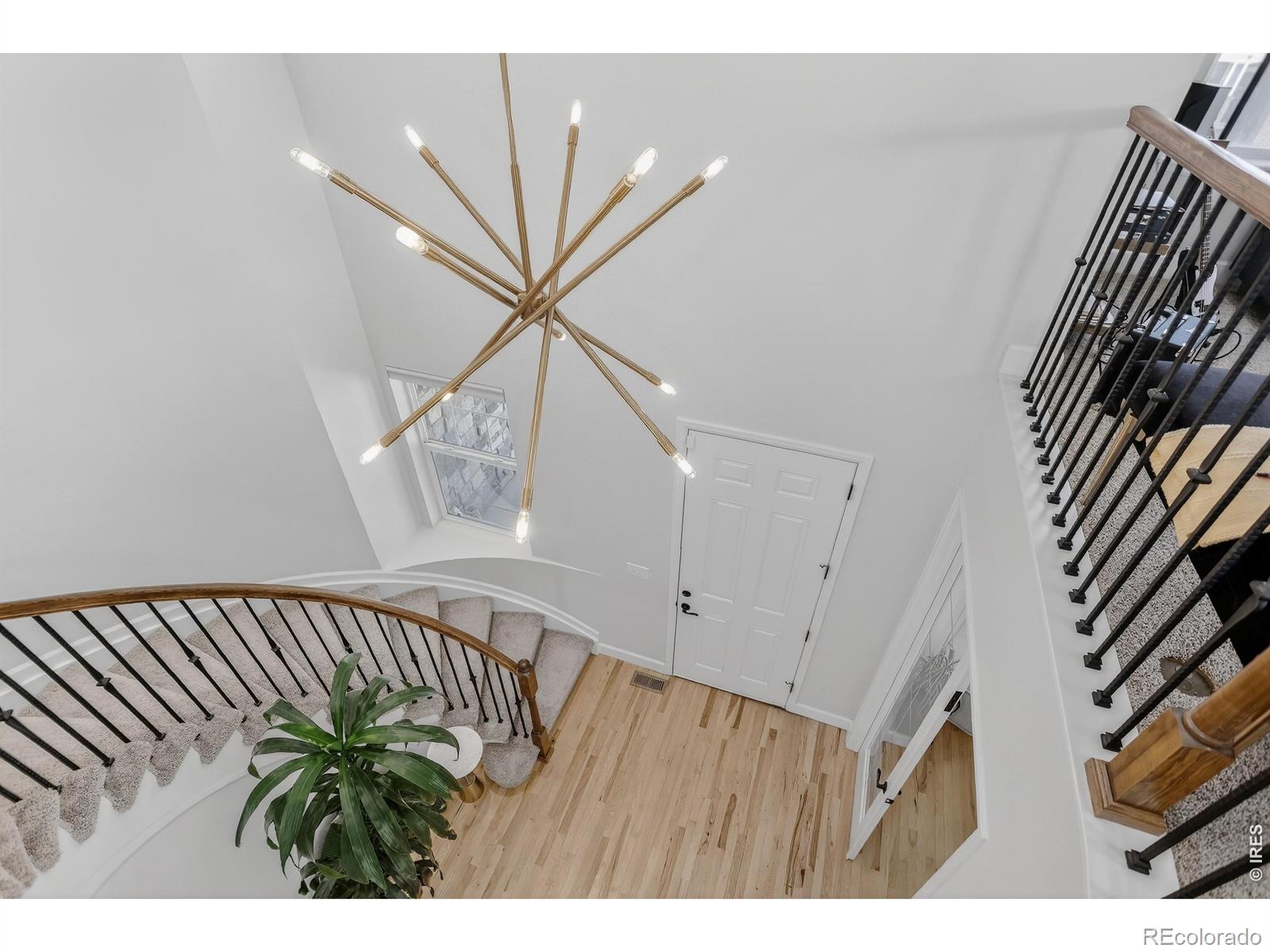 MLS Image #6 for 1652  dorothy circle,longmont, Colorado