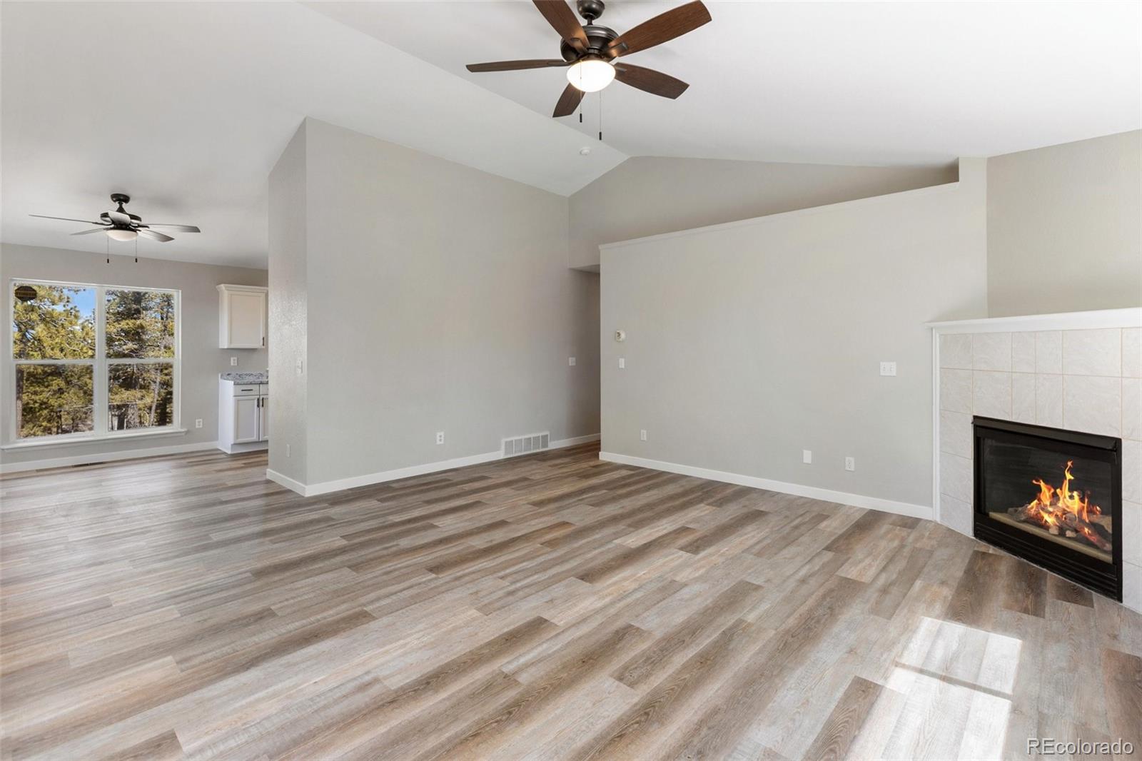MLS Image #10 for 18  mt. powderhorn ,florissant, Colorado