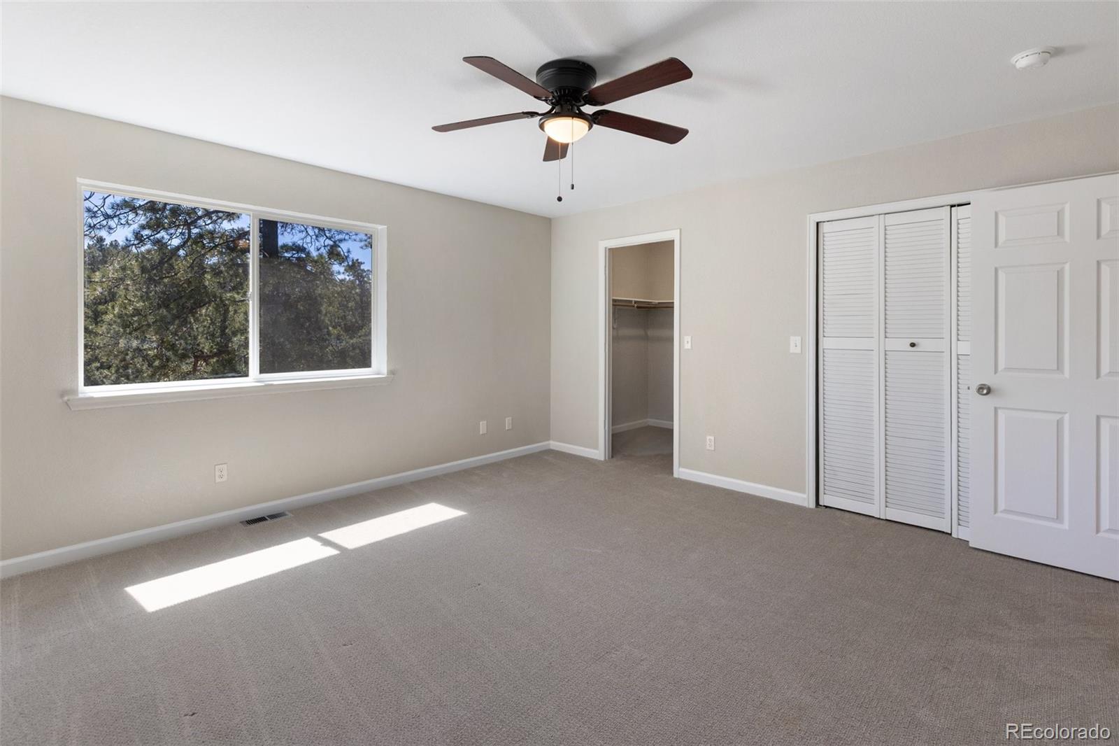 MLS Image #20 for 18  mt. powderhorn ,florissant, Colorado