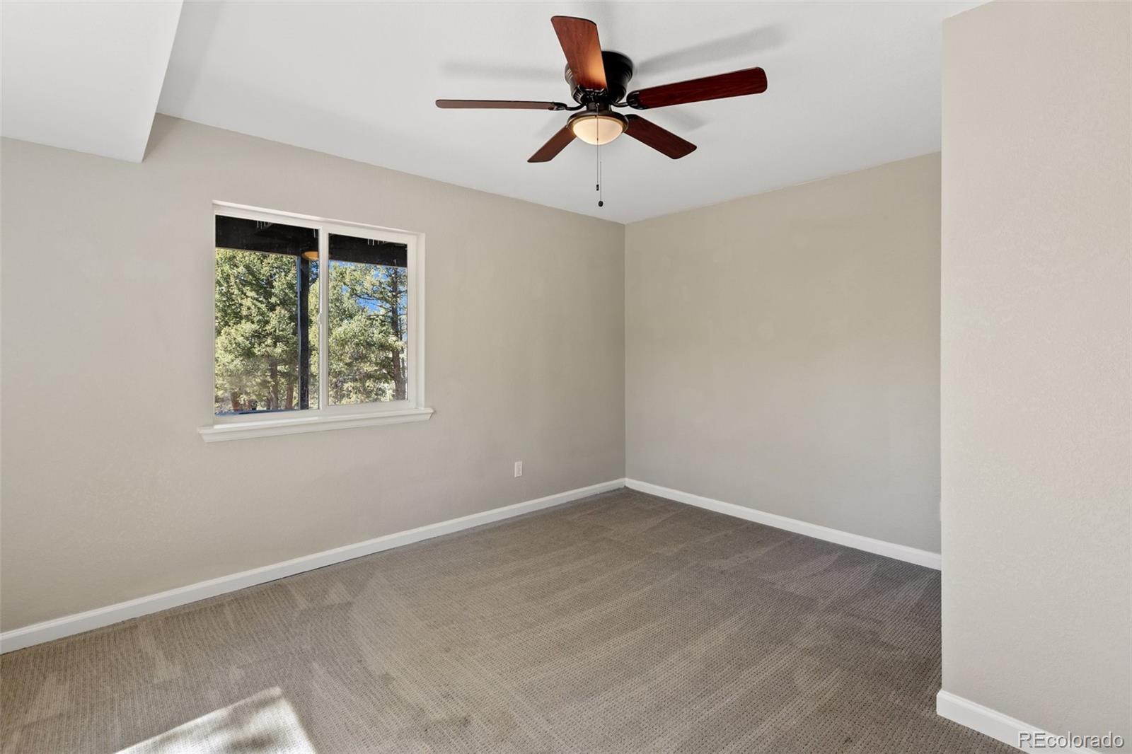 MLS Image #28 for 18  mt. powderhorn ,florissant, Colorado