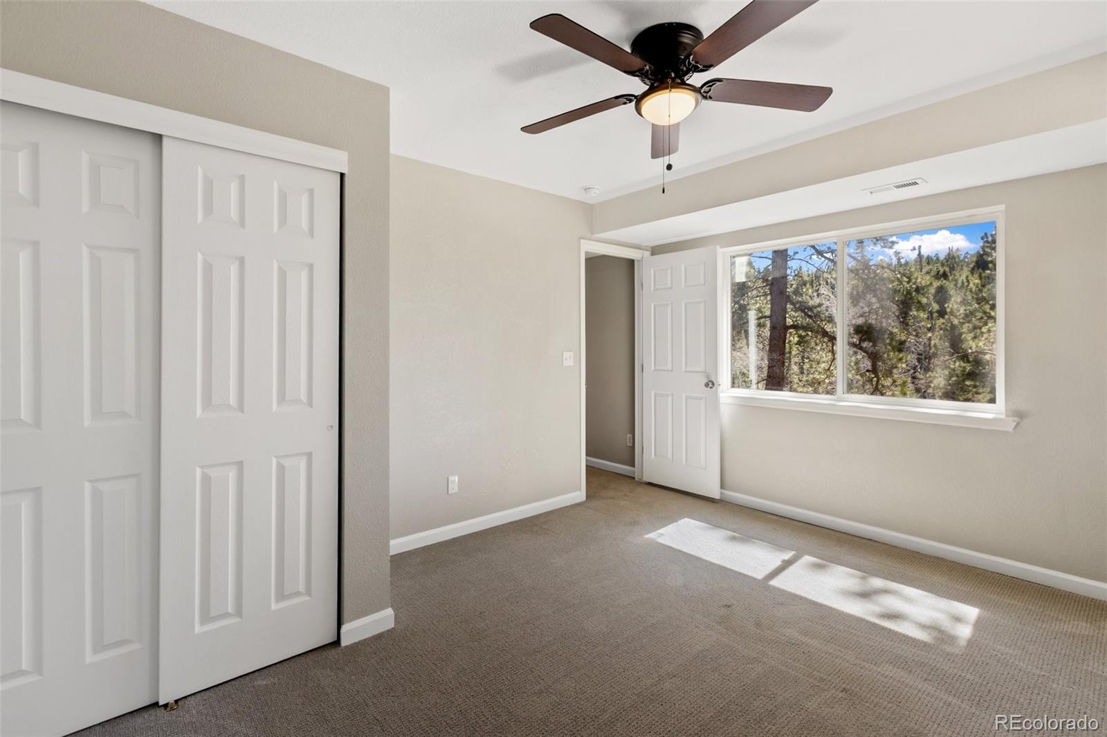 MLS Image #29 for 18  mt. powderhorn ,florissant, Colorado