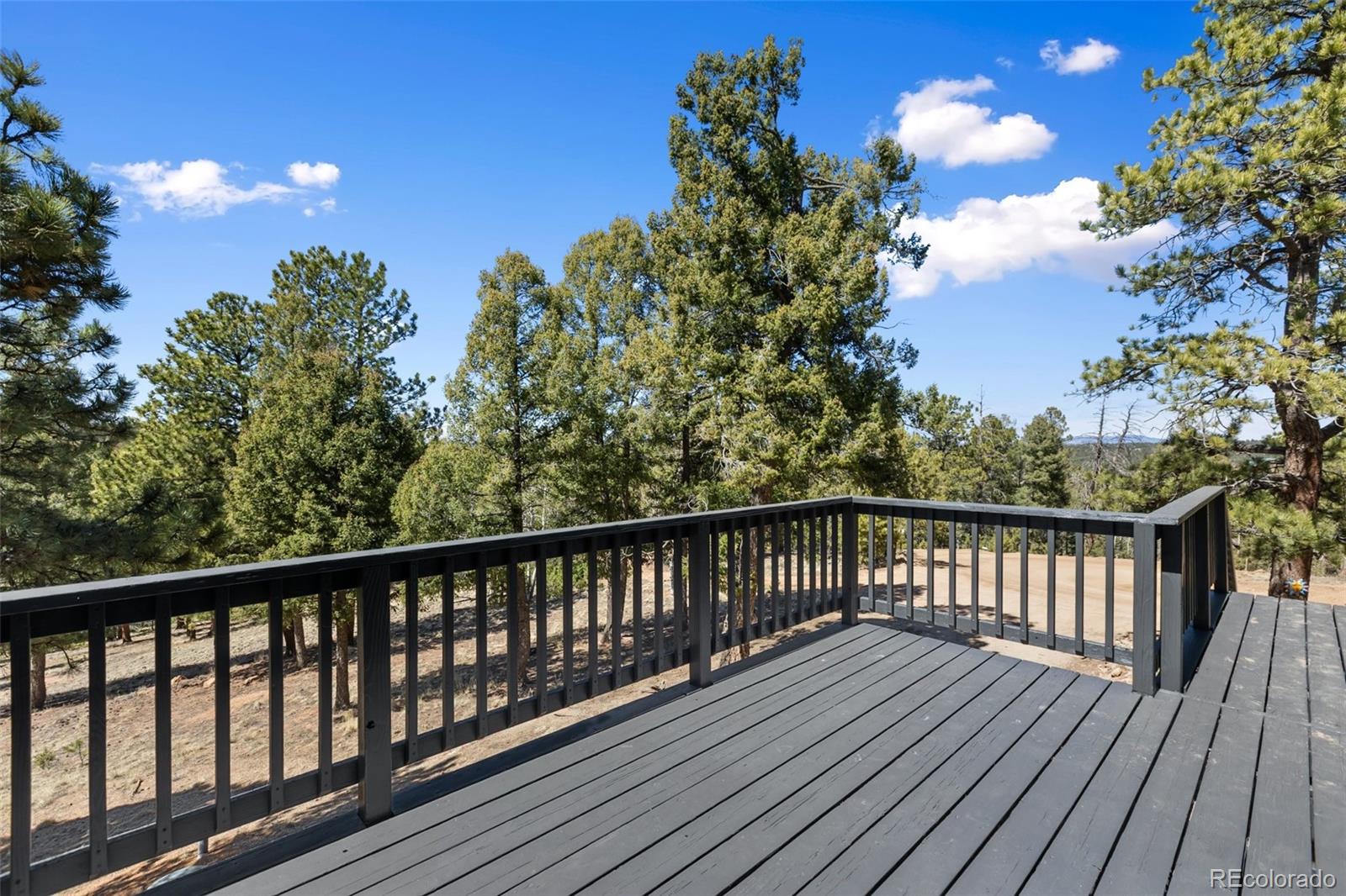 MLS Image #3 for 18  mt. powderhorn ,florissant, Colorado