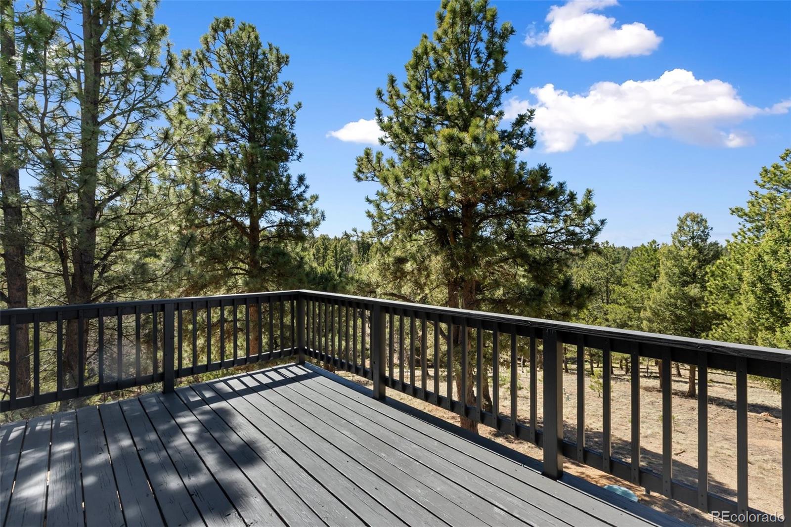 MLS Image #33 for 18  mt. powderhorn ,florissant, Colorado