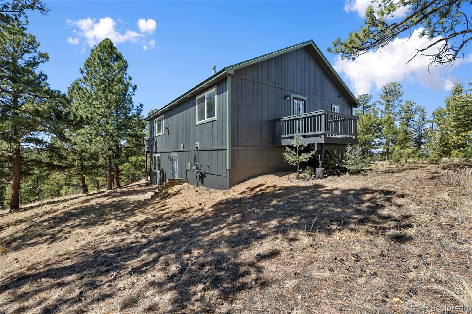 MLS Image #35 for 18  mt. powderhorn ,florissant, Colorado