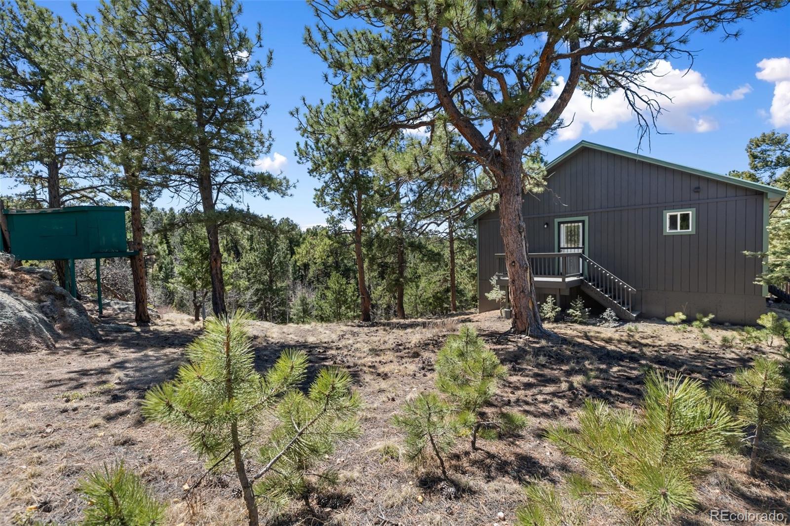 MLS Image #36 for 18  mt. powderhorn ,florissant, Colorado