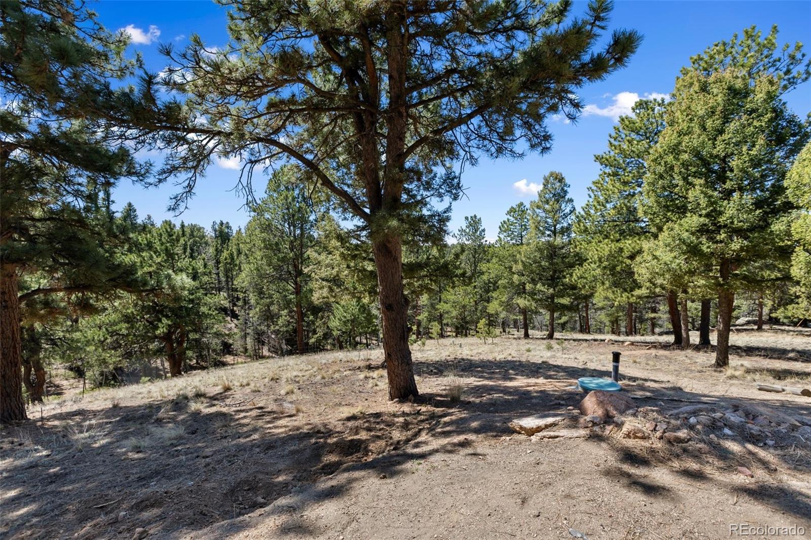 MLS Image #4 for 18  mt. powderhorn ,florissant, Colorado