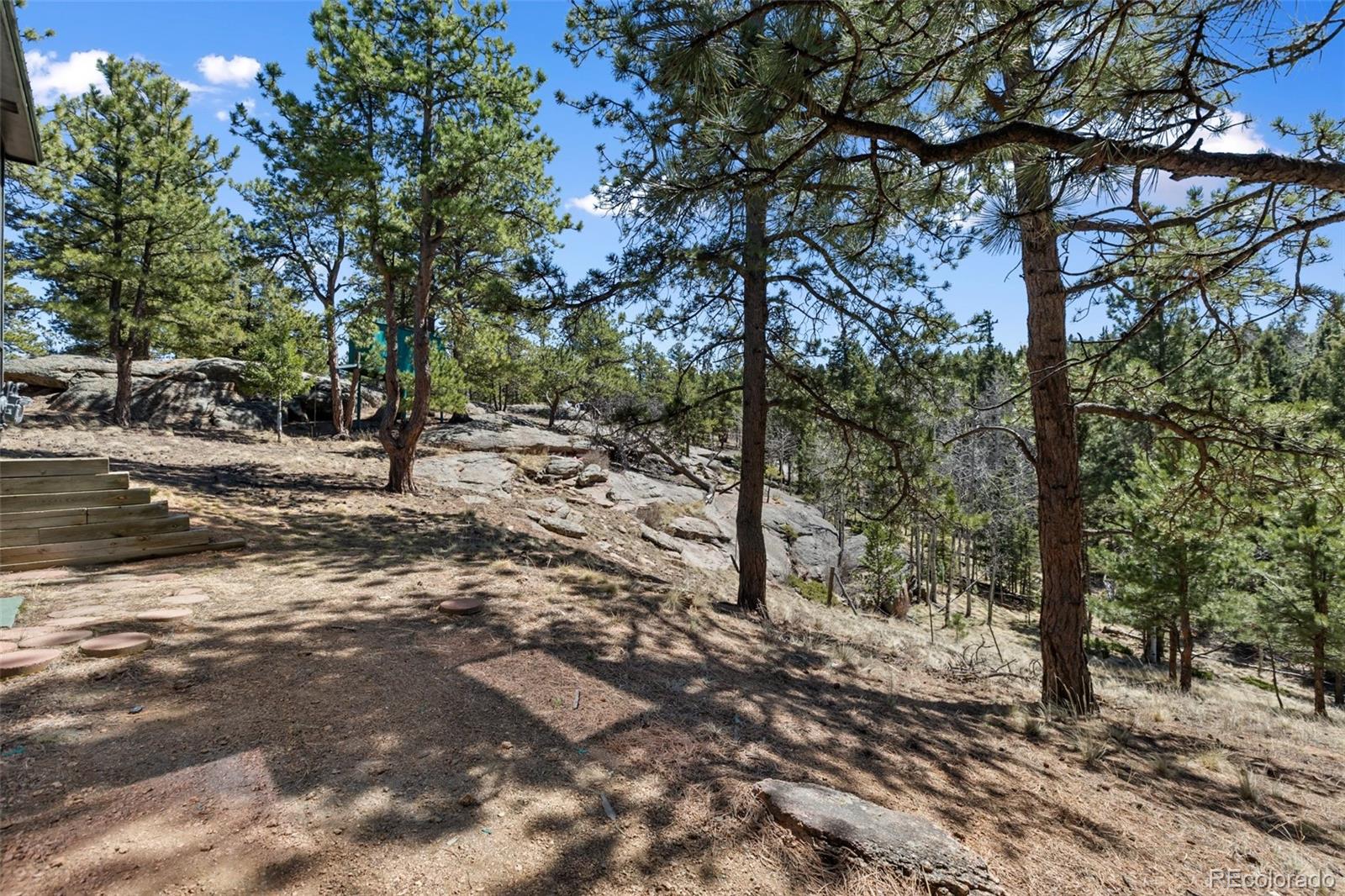 MLS Image #5 for 18  mt. powderhorn ,florissant, Colorado