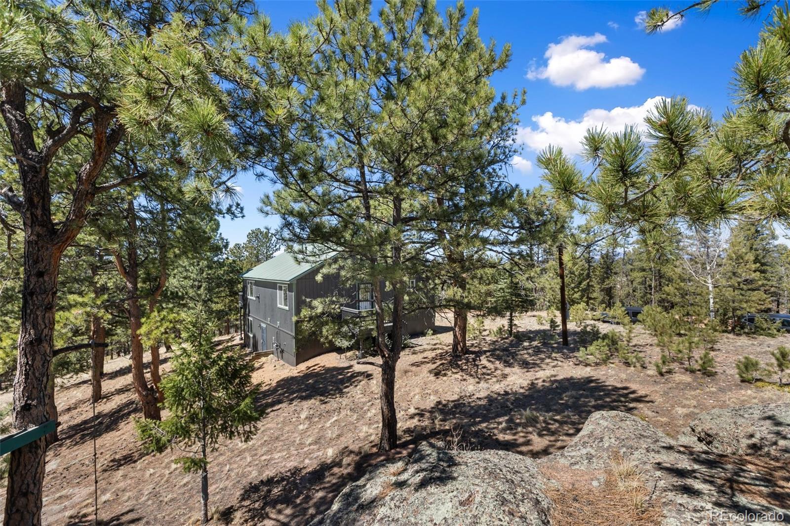 MLS Image #6 for 18  mt. powderhorn ,florissant, Colorado