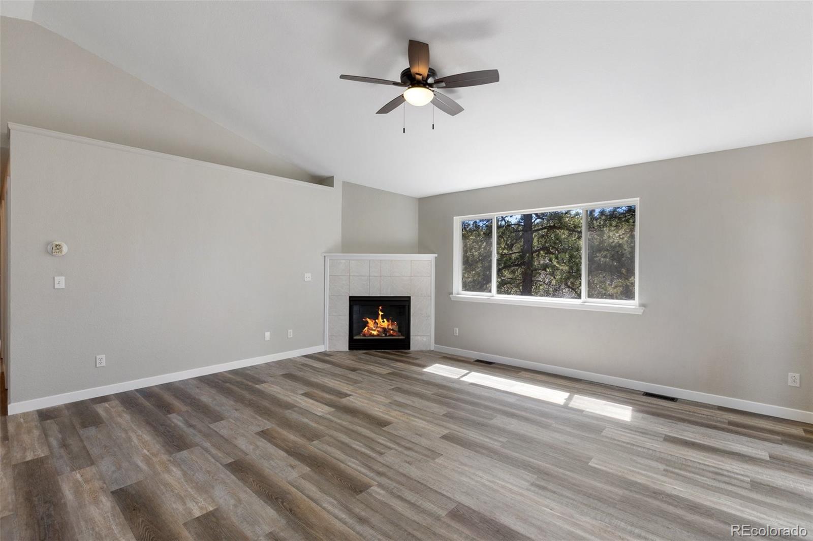 MLS Image #8 for 18  mt. powderhorn ,florissant, Colorado