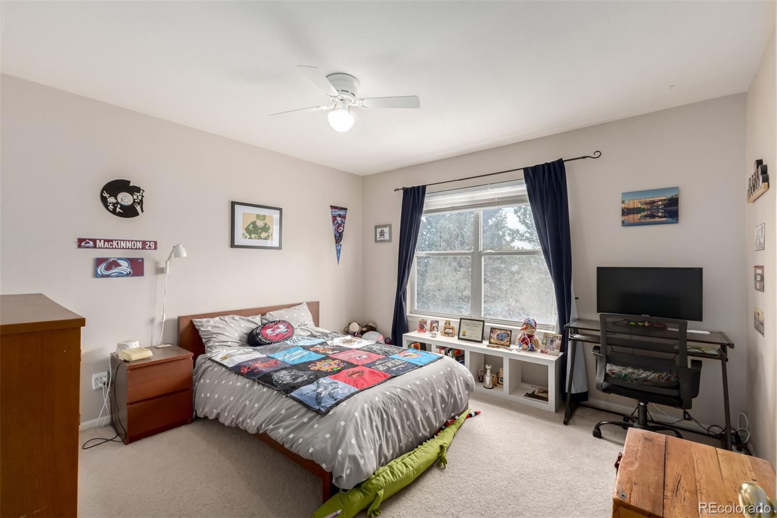 MLS Image #19 for 707  huntington place,highlands ranch, Colorado