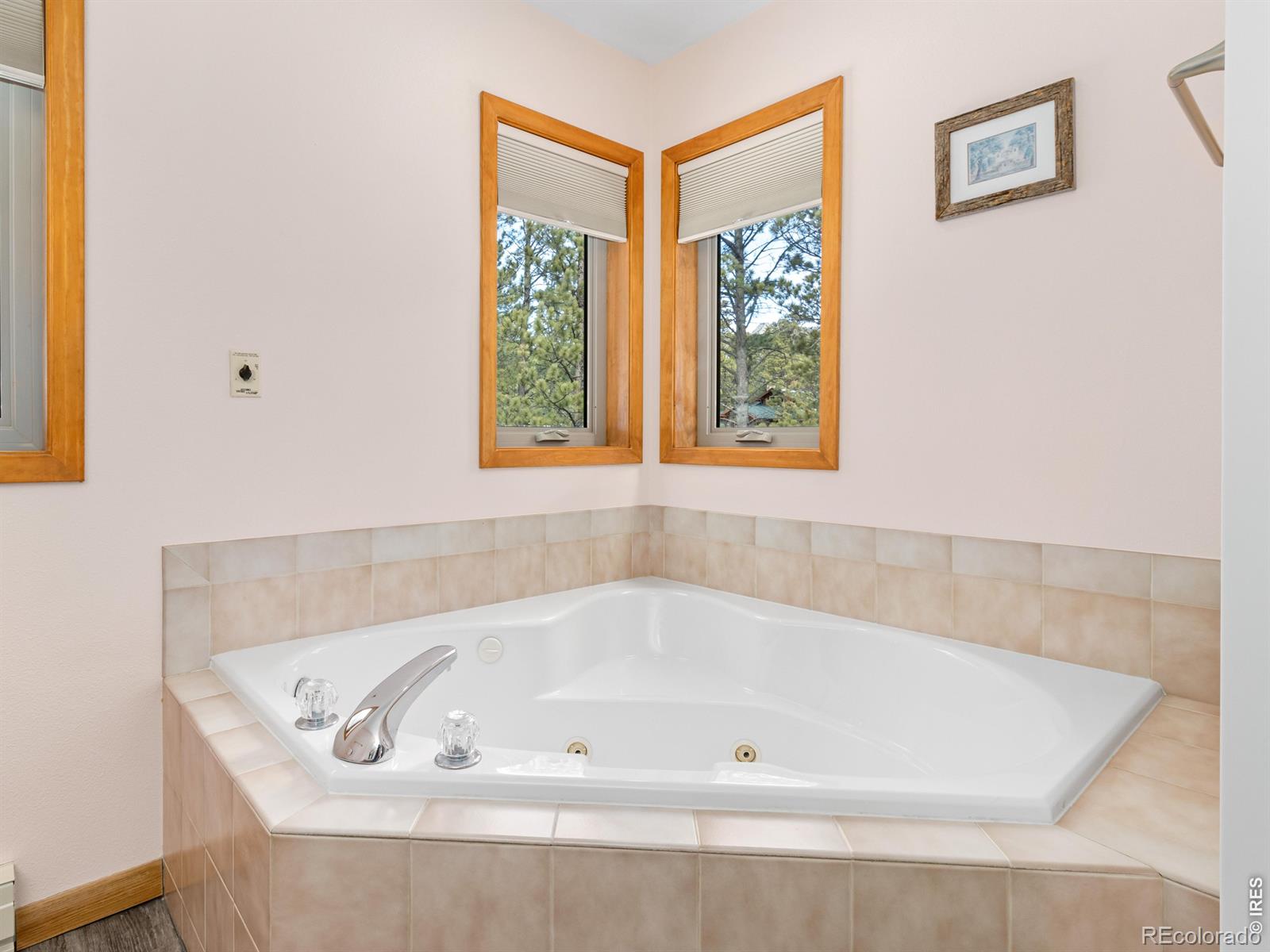 MLS Image #22 for 510  chiquita lane,estes park, Colorado