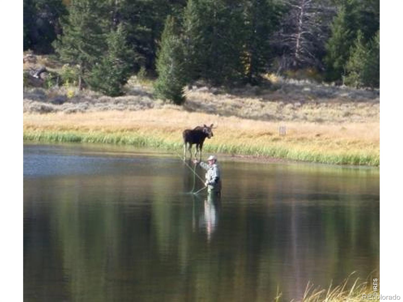 MLS Image #43 for 6097 n county road 73c ,red feather lakes, Colorado