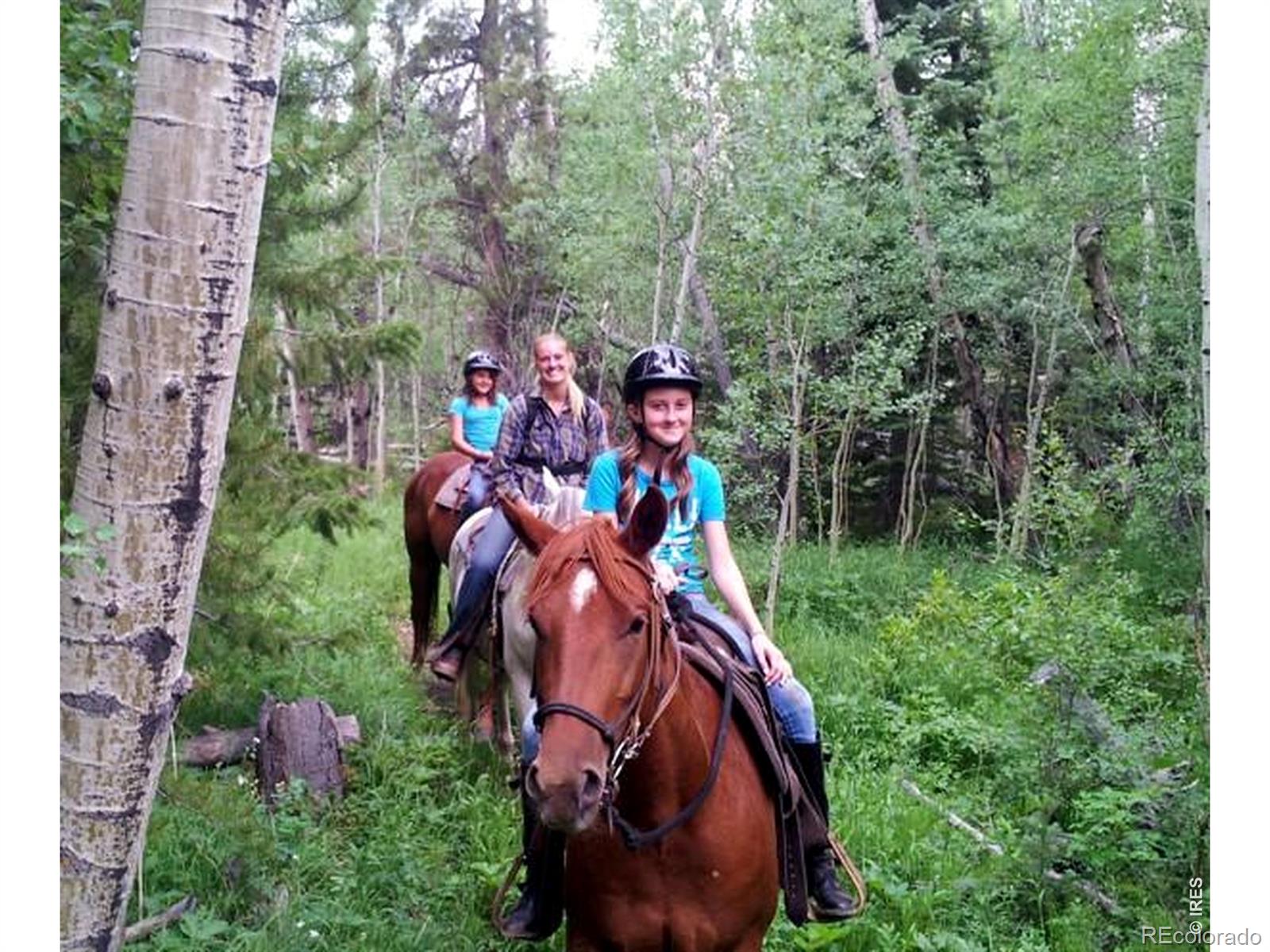 MLS Image #44 for 6097 n county road 73c ,red feather lakes, Colorado