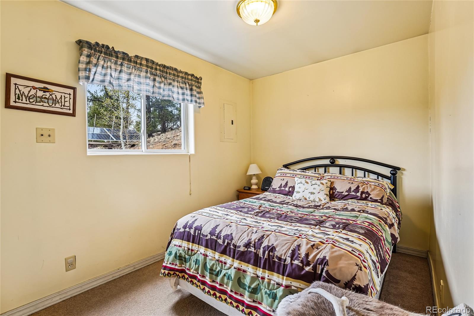 MLS Image #14 for 142  june lane,hartsel, Colorado