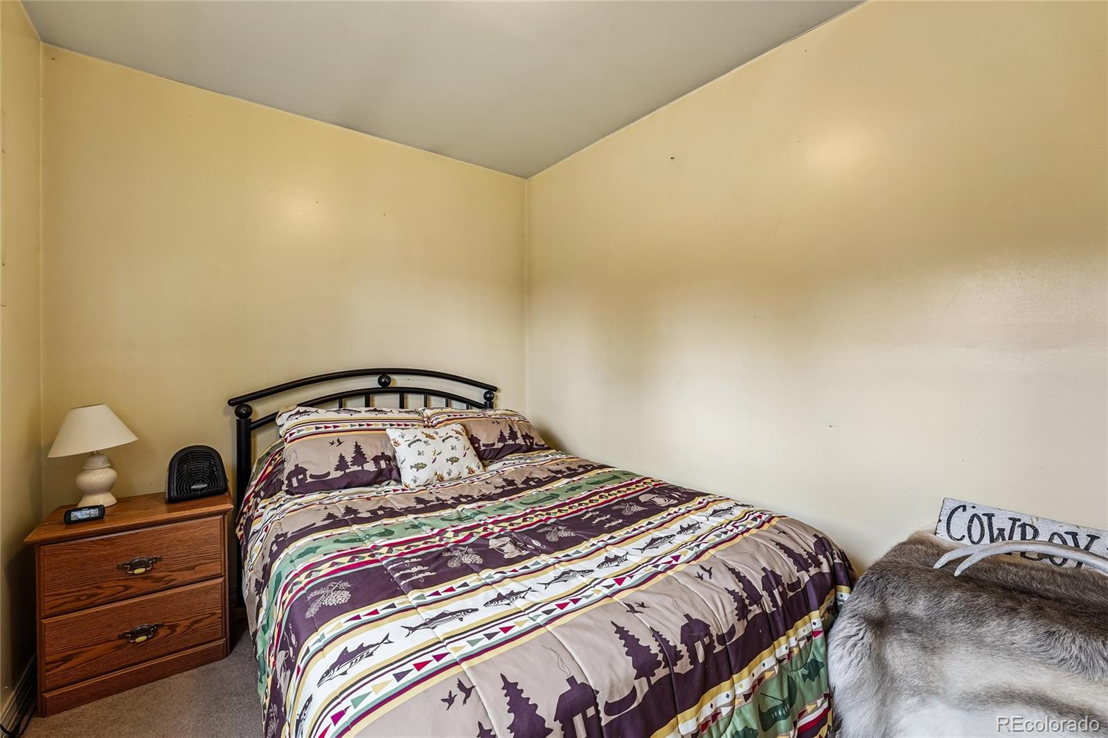 MLS Image #15 for 142  june lane,hartsel, Colorado