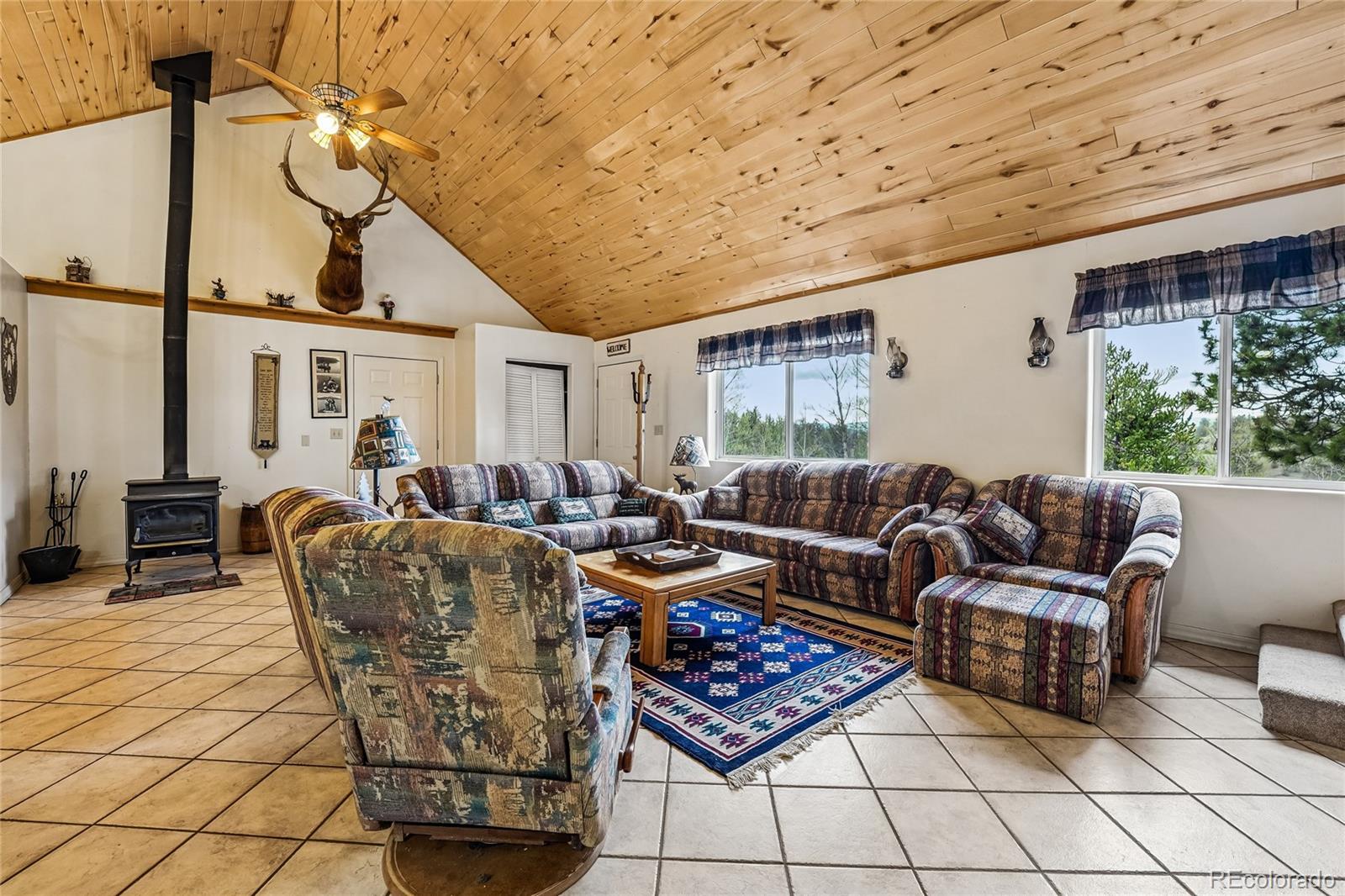 MLS Image #4 for 142  june lane,hartsel, Colorado
