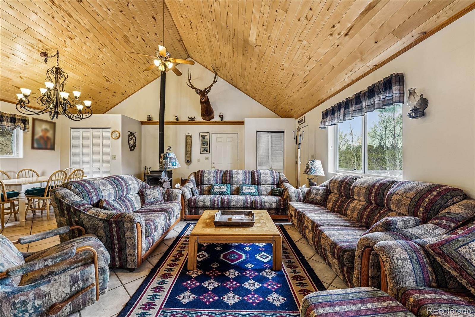 MLS Image #6 for 142  june lane,hartsel, Colorado